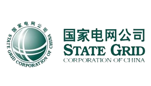 國家電網有限公司